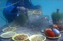 haft_sin_persian_gulf.jpg